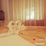 Pansion Ana *