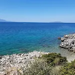 Pansion Ana Podaca