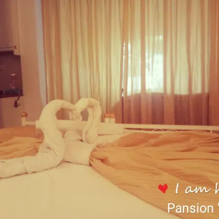 Pansion Ana *