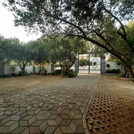 Pansion Ana * Podaca