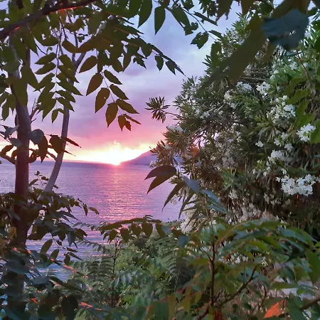 Pansion Ana Apartment