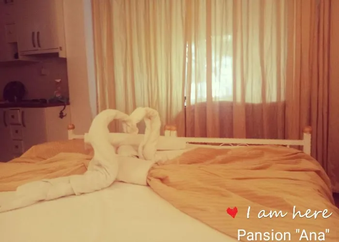 Pansion Ana *